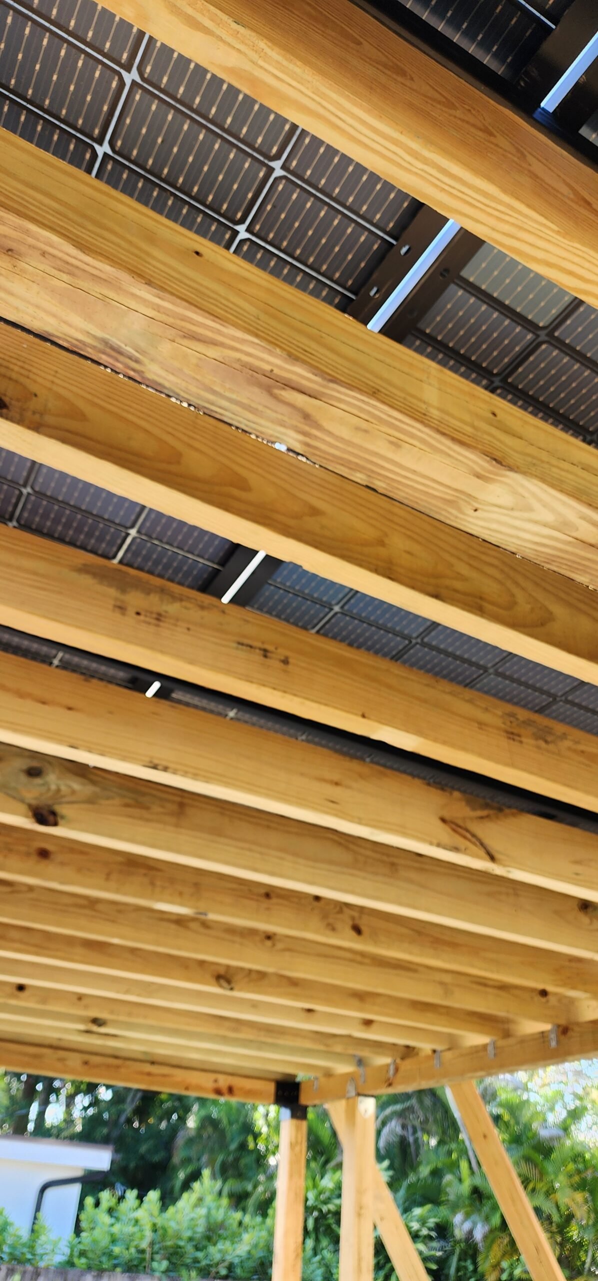 Scaled for Resilience